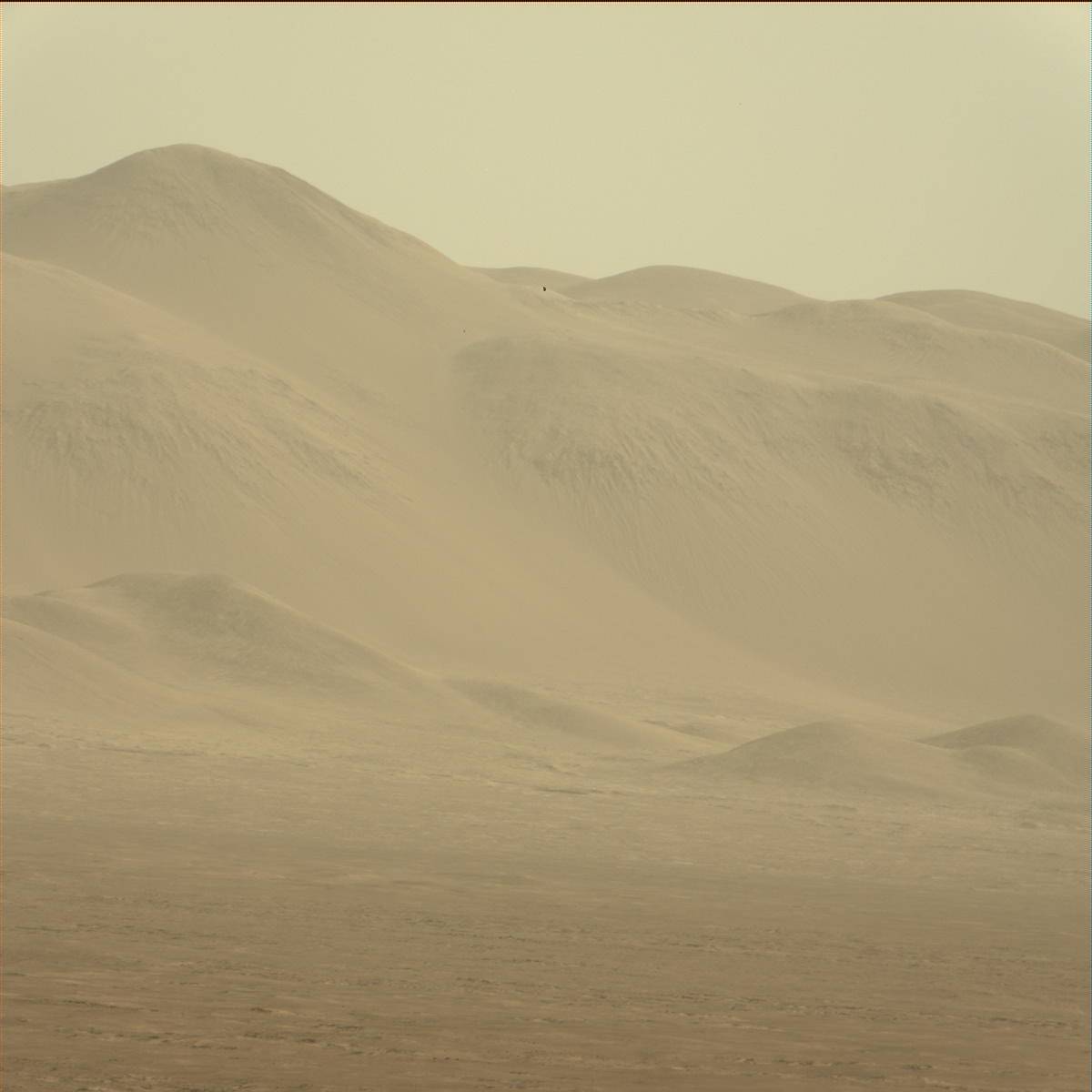 Nasa's Mars rover Curiosity acquired this image using its Mast Camera (Mastcam) on Sol 1265
