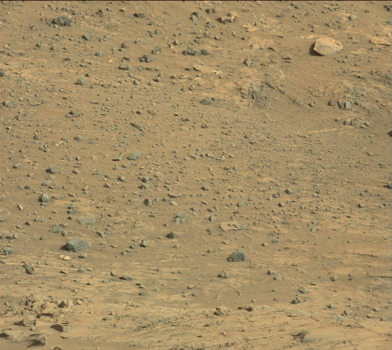 Nasa's Mars rover Curiosity acquired this image using its Mast Camera (Mastcam) on Sol 1267