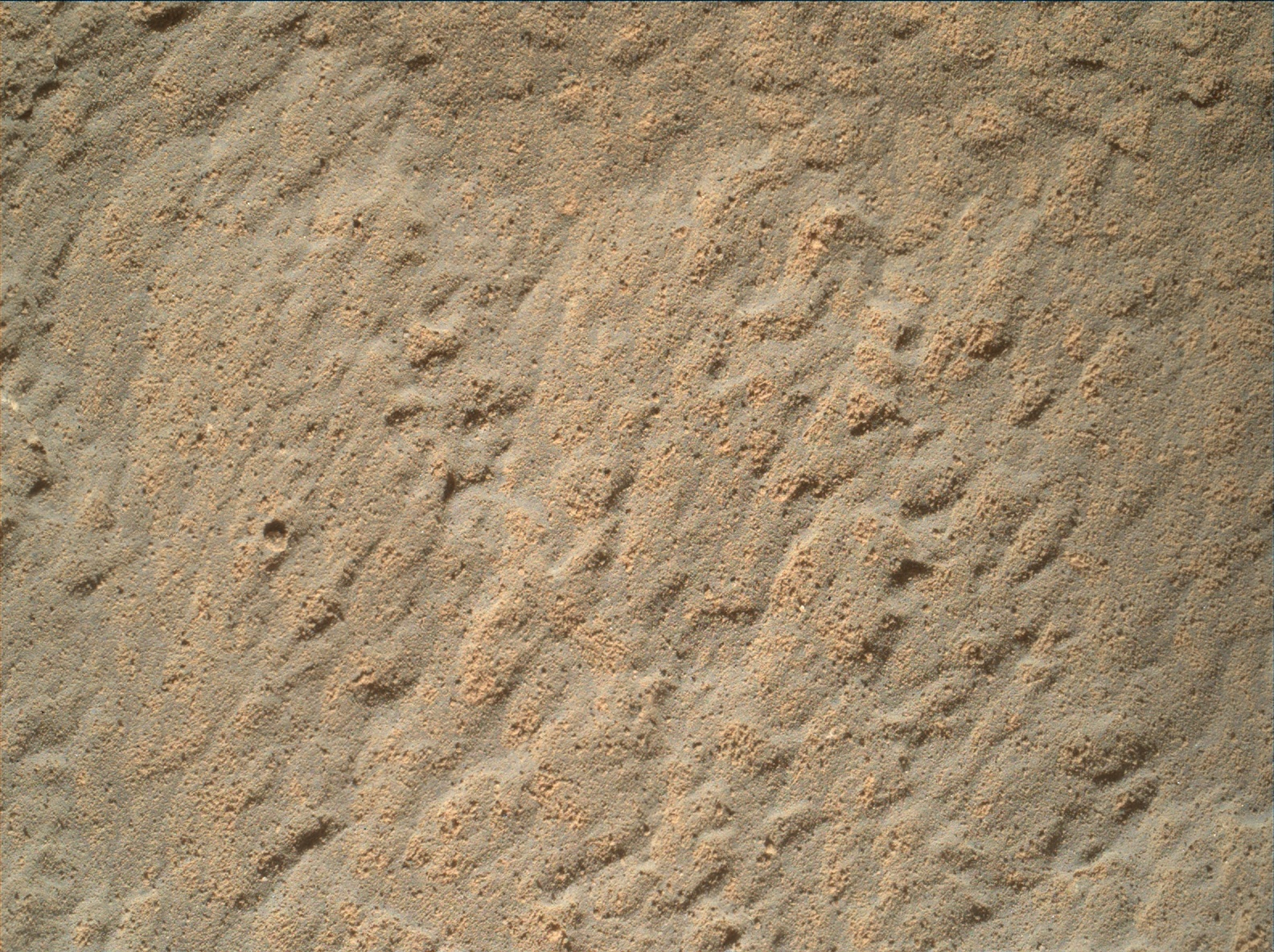 Nasa's Mars rover Curiosity acquired this image using its Mars Hand Lens Imager (MAHLI) on Sol 1268