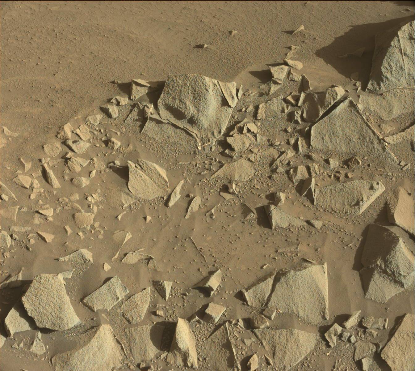 Nasa's Mars rover Curiosity acquired this image using its Mast Camera (Mastcam) on Sol 1271