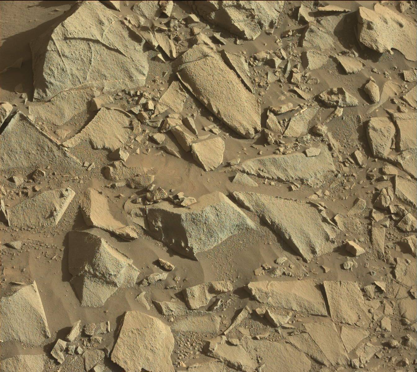 Nasa's Mars rover Curiosity acquired this image using its Mast Camera (Mastcam) on Sol 1271