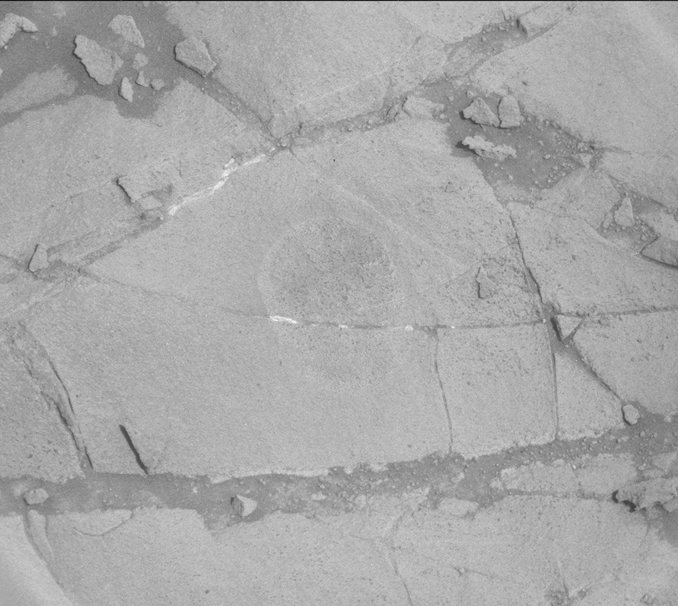Nasa's Mars rover Curiosity acquired this image using its Mast Camera (Mastcam) on Sol 1274