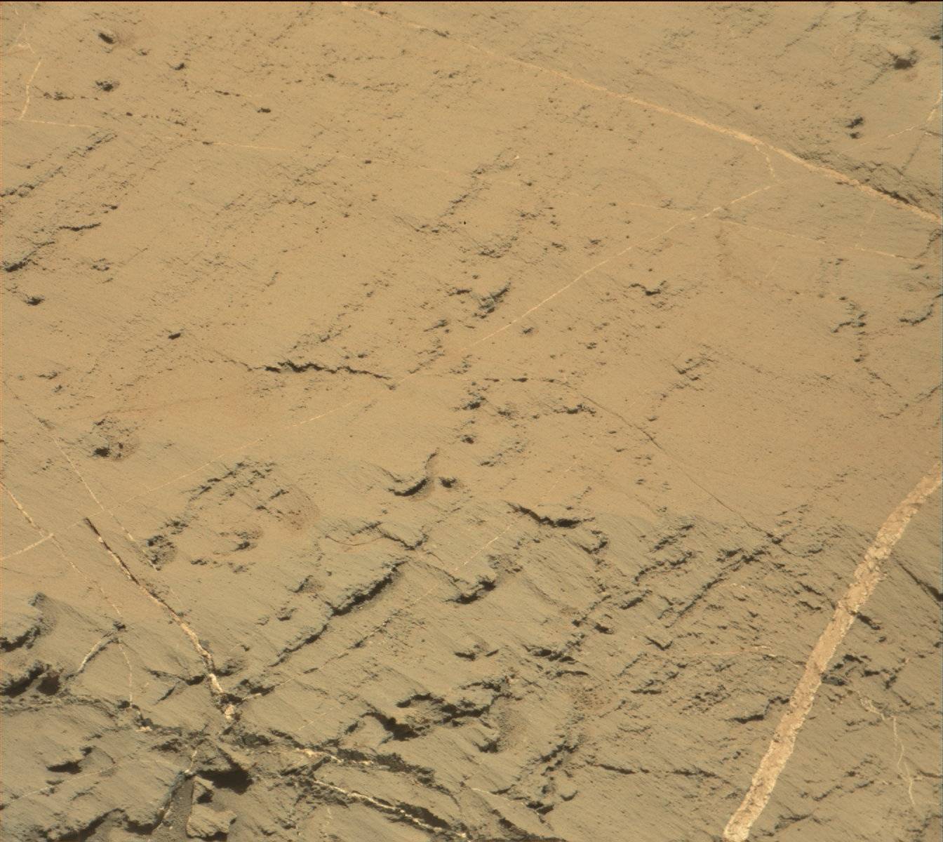 Nasa's Mars rover Curiosity acquired this image using its Mast Camera (Mastcam) on Sol 1276