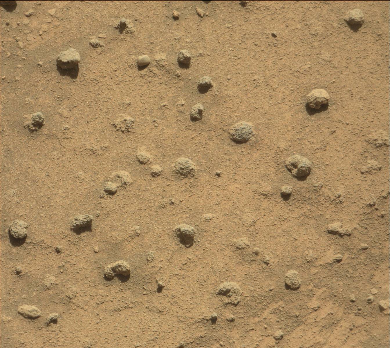 Nasa's Mars rover Curiosity acquired this image using its Mast Camera (Mastcam) on Sol 1277