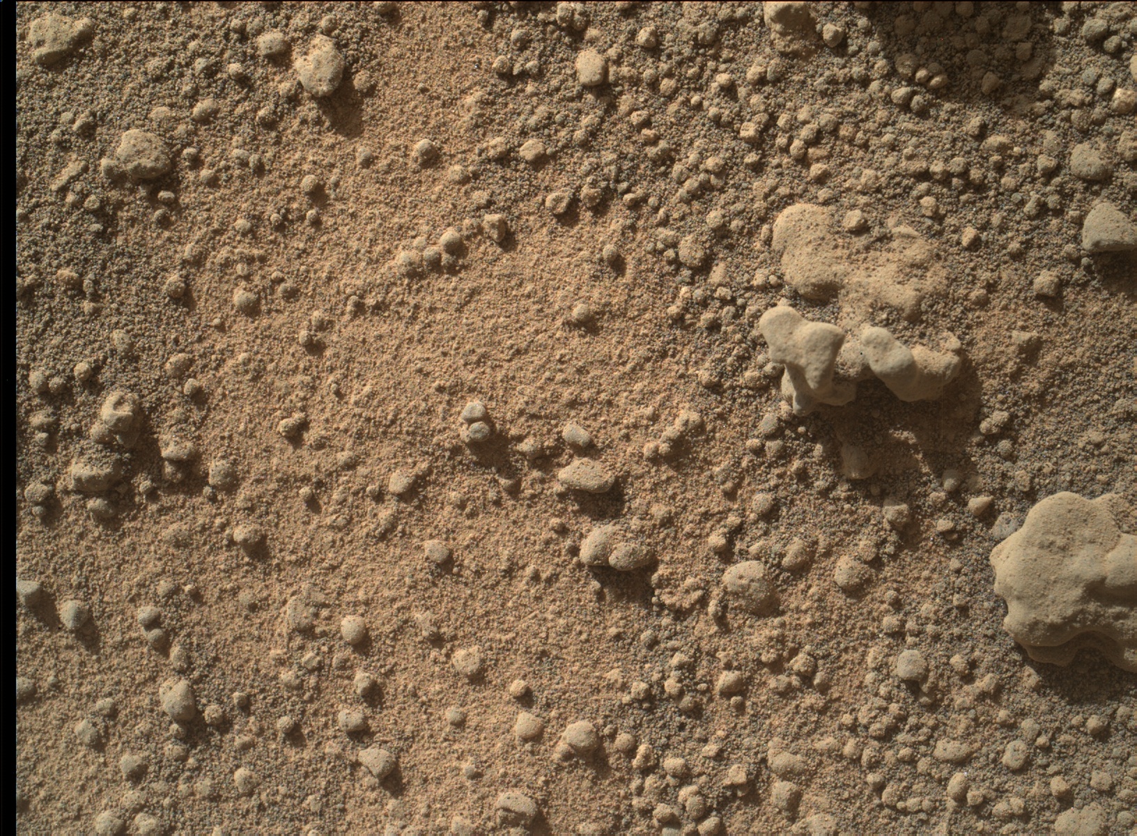 Nasa's Mars rover Curiosity acquired this image using its Mars Hand Lens Imager (MAHLI) on Sol 1277