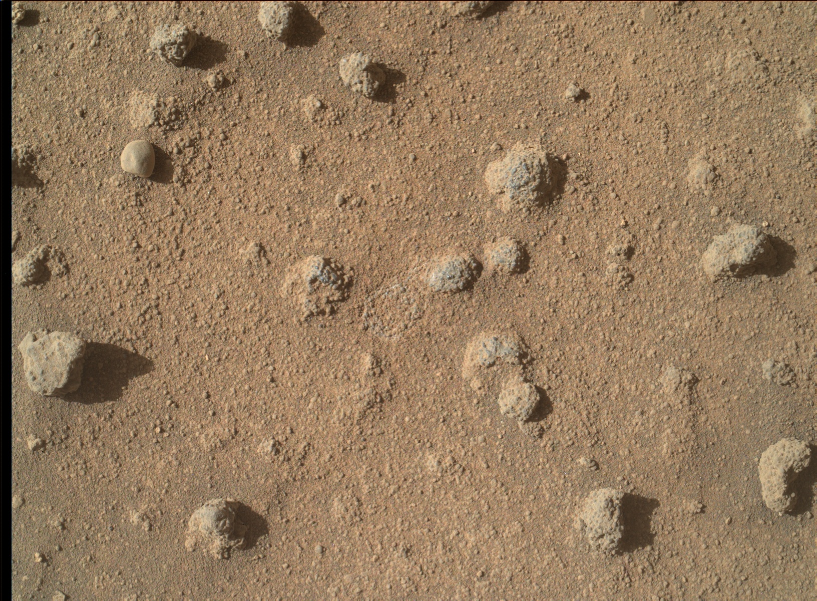 Nasa's Mars rover Curiosity acquired this image using its Mars Hand Lens Imager (MAHLI) on Sol 1279
