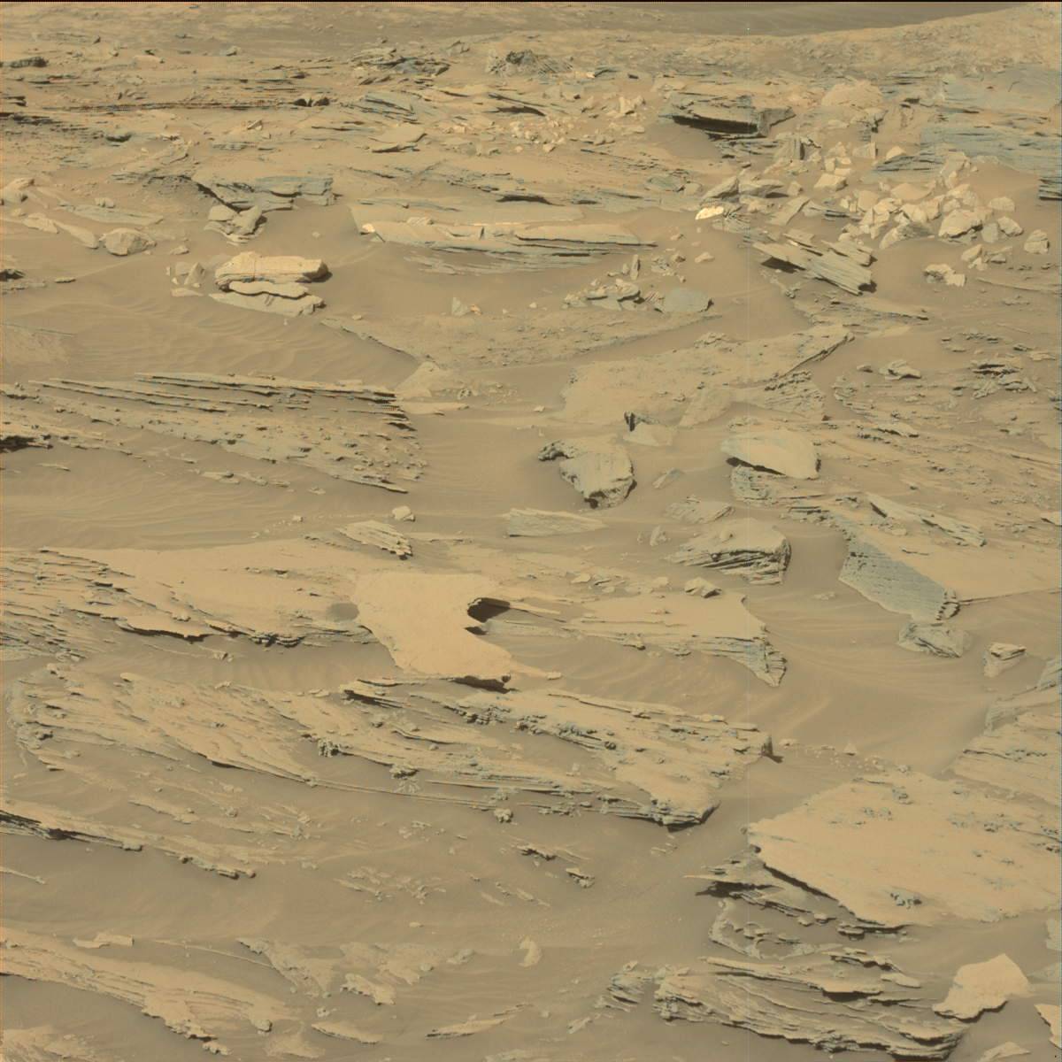 Nasa's Mars rover Curiosity acquired this image using its Mast Camera (Mastcam) on Sol 1282