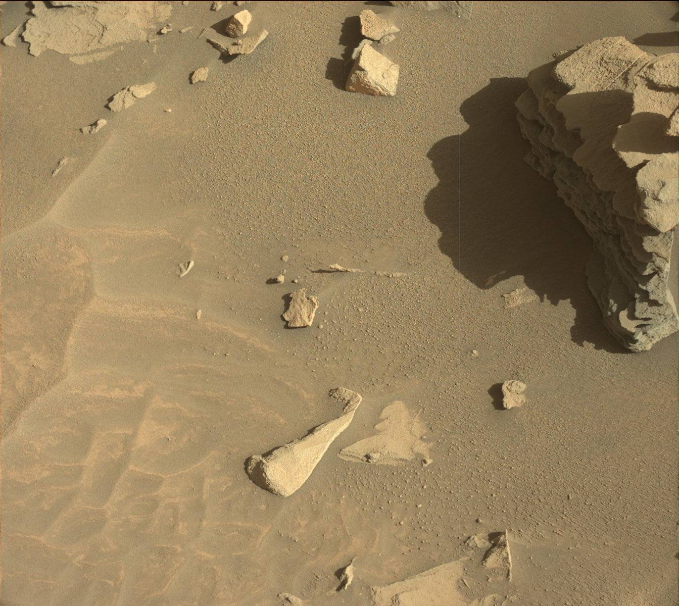 Nasa's Mars rover Curiosity acquired this image using its Mast Camera (Mastcam) on Sol 1289