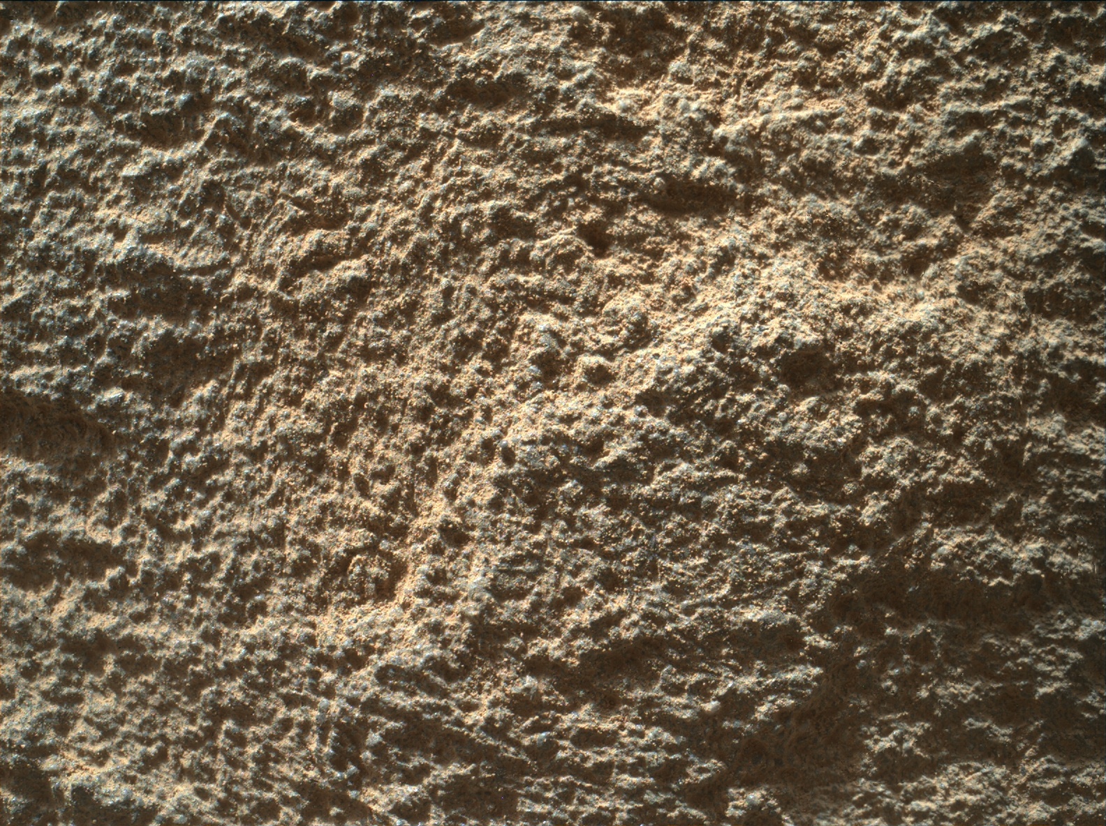 Nasa's Mars rover Curiosity acquired this image using its Mars Hand Lens Imager (MAHLI) on Sol 1295