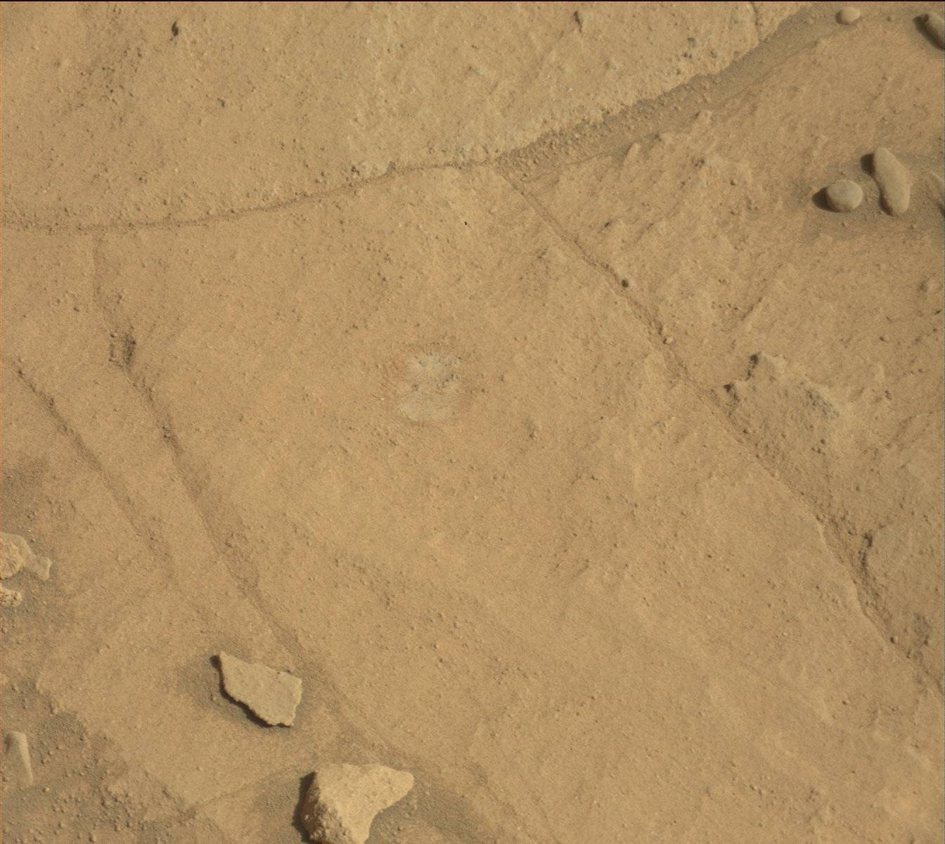 Nasa's Mars rover Curiosity acquired this image using its Mast Camera (Mastcam) on Sol 1300