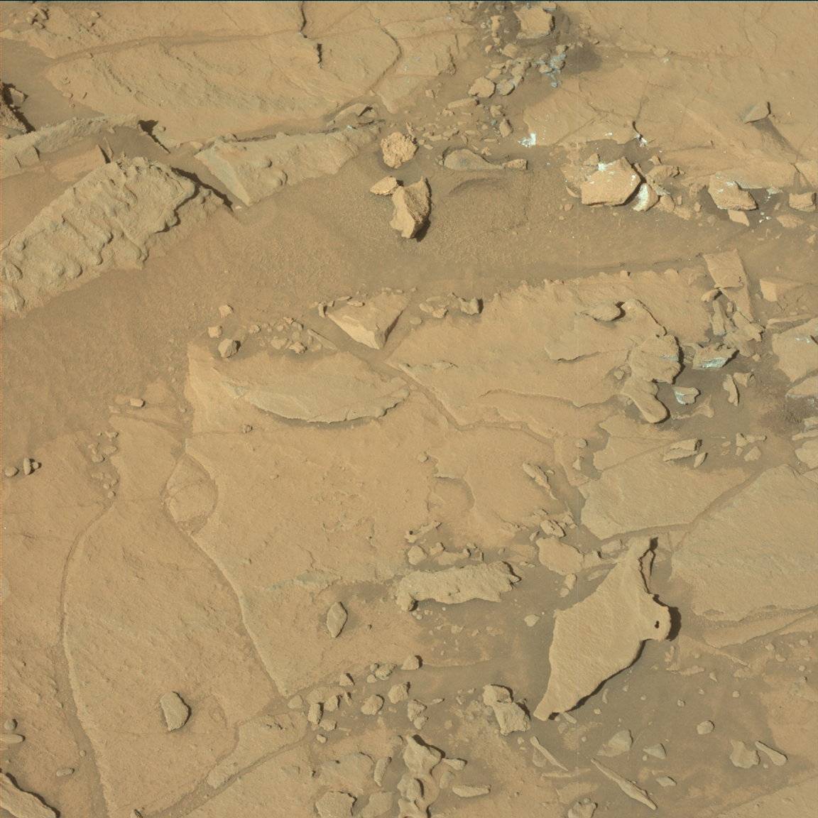 Nasa's Mars rover Curiosity acquired this image using its Mast Camera (Mastcam) on Sol 1305