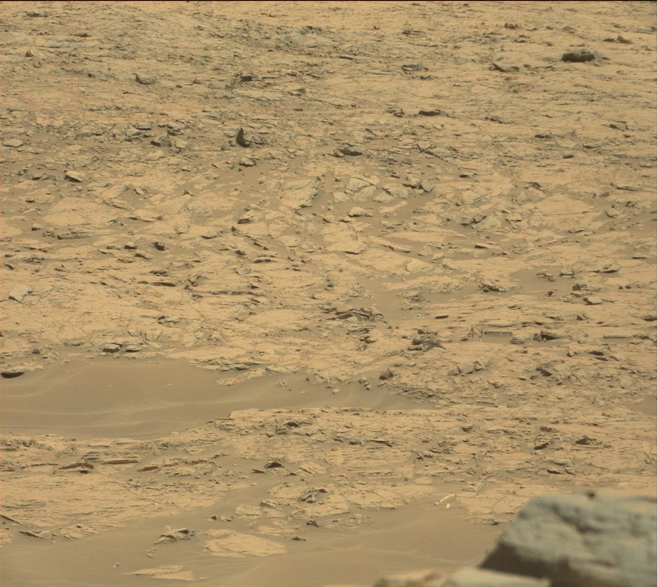 Nasa's Mars rover Curiosity acquired this image using its Mast Camera (Mastcam) on Sol 1309