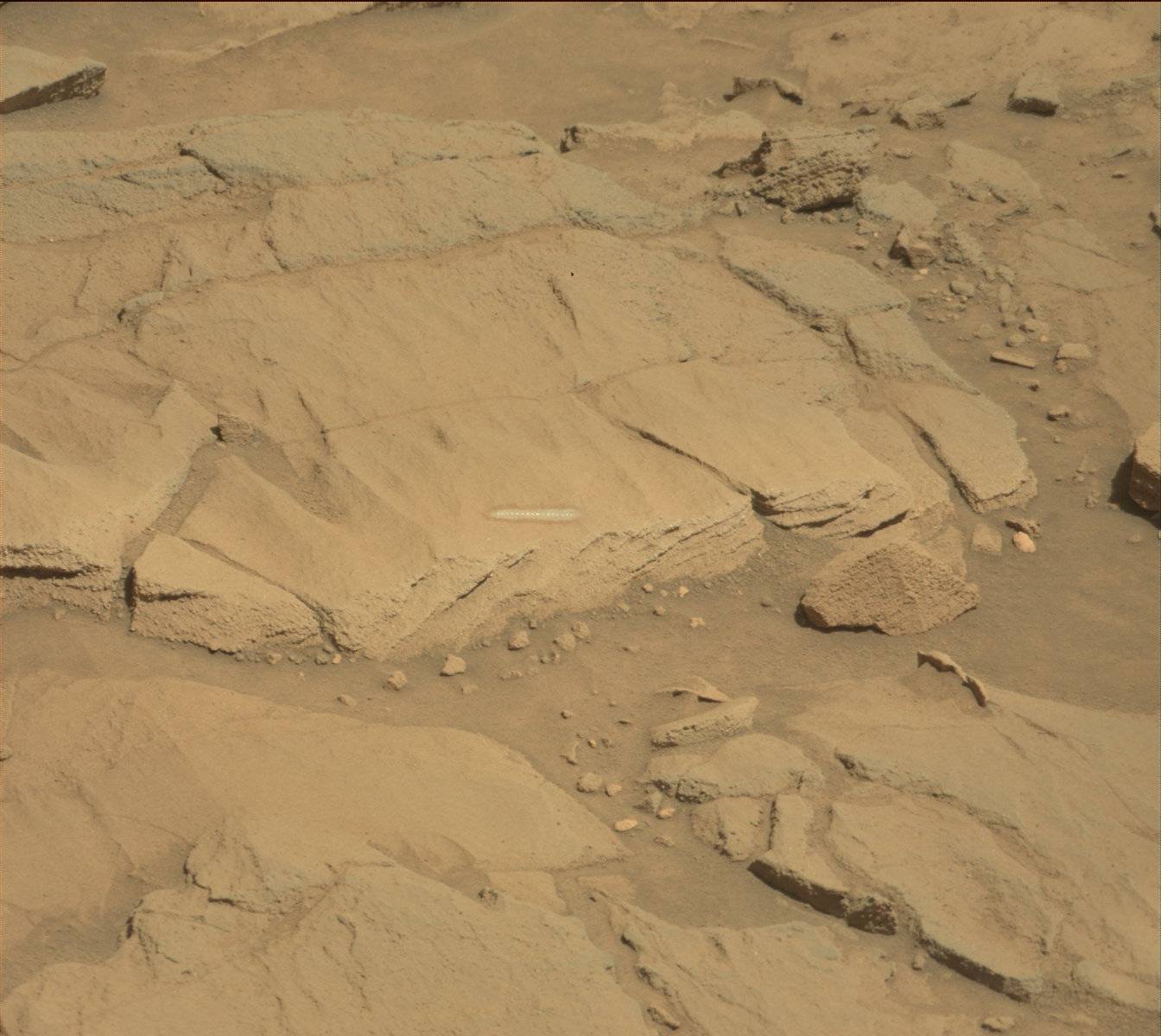 Nasa's Mars rover Curiosity acquired this image using its Mast Camera (Mastcam) on Sol 1310