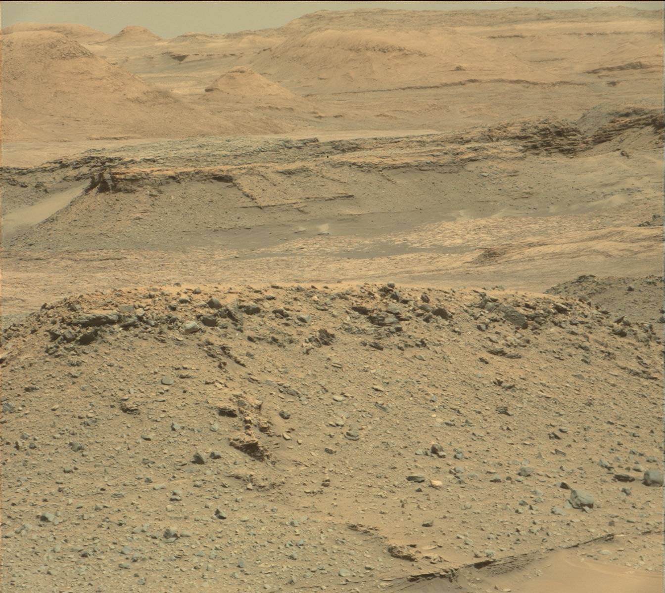 Nasa's Mars rover Curiosity acquired this image using its Mast Camera (Mastcam) on Sol 1314