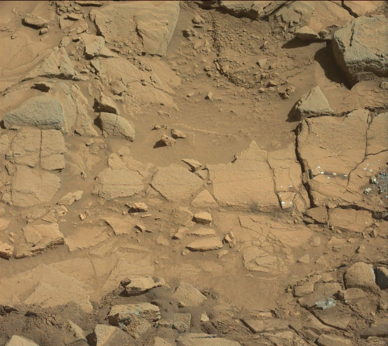 Nasa's Mars rover Curiosity acquired this image using its Mast Camera (Mastcam) on Sol 1317