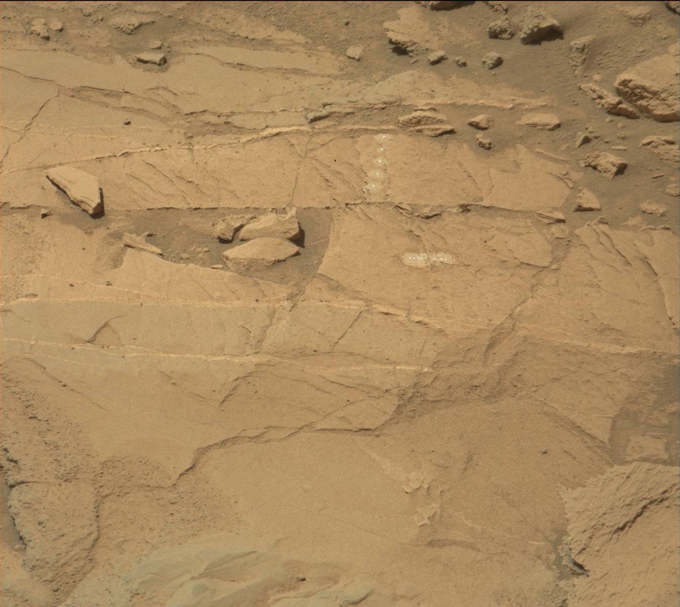 Nasa's Mars rover Curiosity acquired this image using its Mast Camera (Mastcam) on Sol 1317