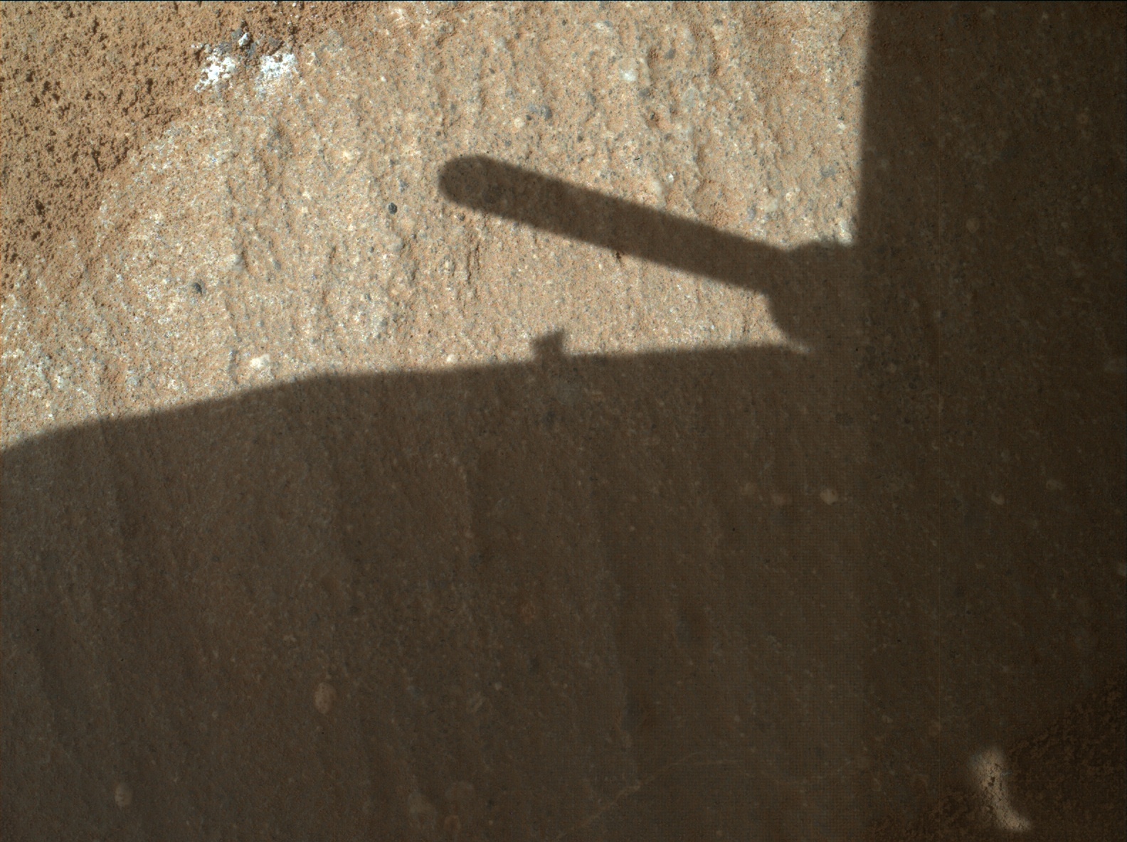 Nasa's Mars rover Curiosity acquired this image using its Mars Hand Lens Imager (MAHLI) on Sol 1319