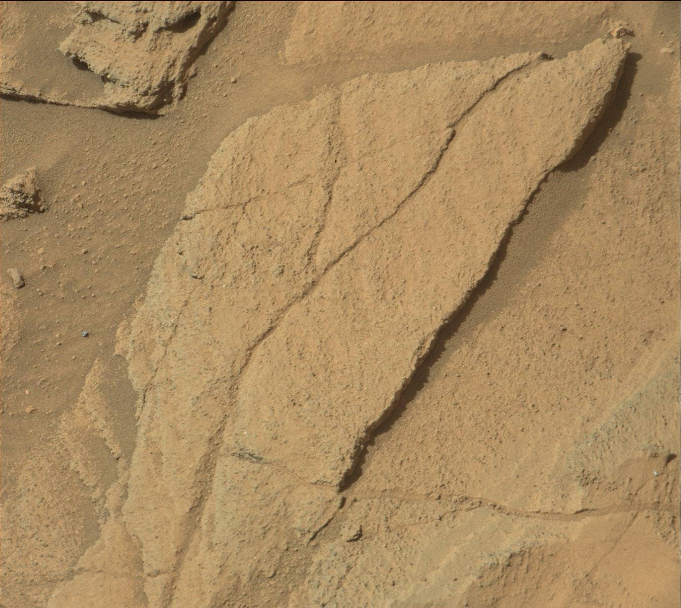 Nasa's Mars rover Curiosity acquired this image using its Mast Camera (Mastcam) on Sol 1329