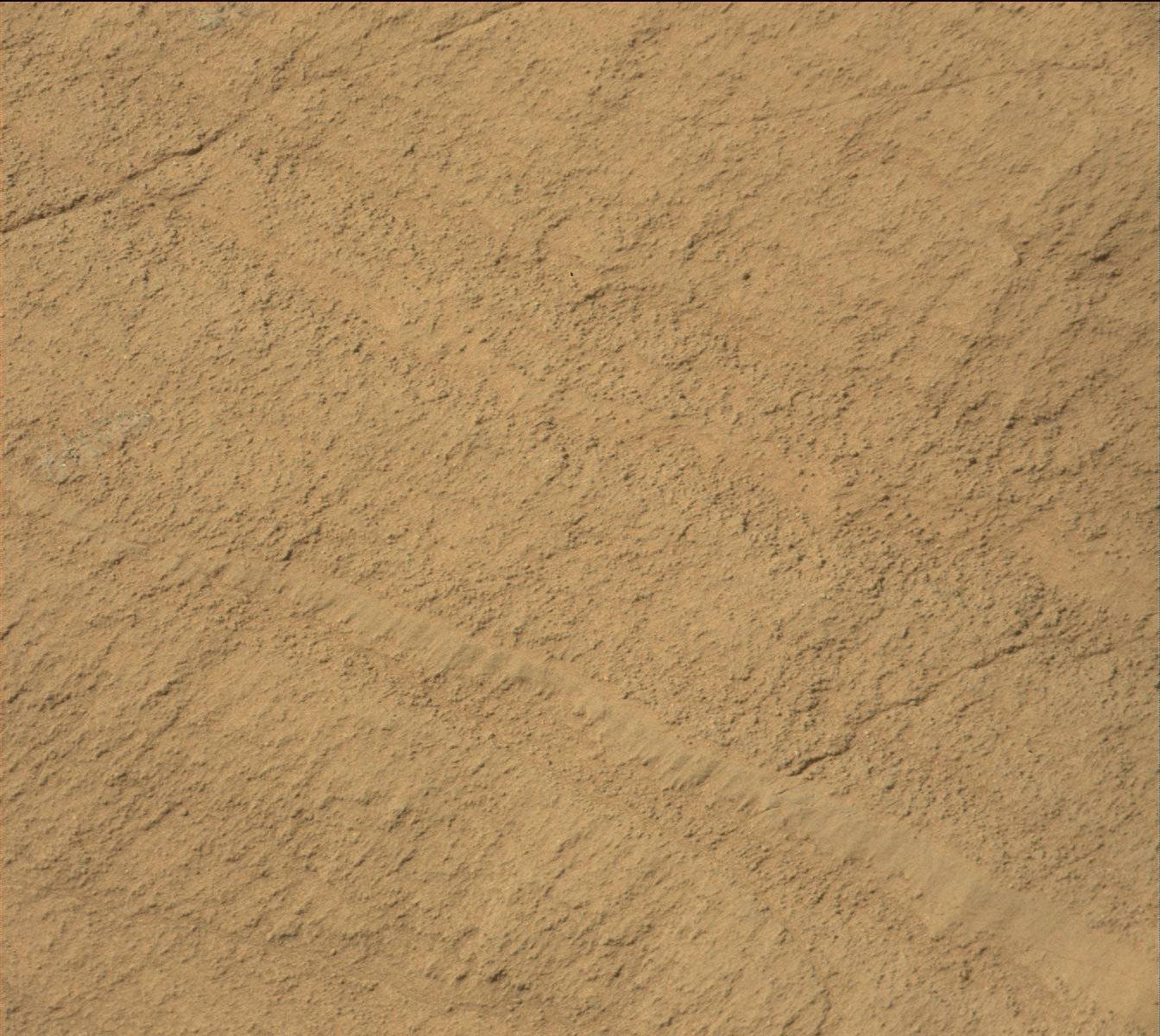 Nasa's Mars rover Curiosity acquired this image using its Mast Camera (Mastcam) on Sol 1330
