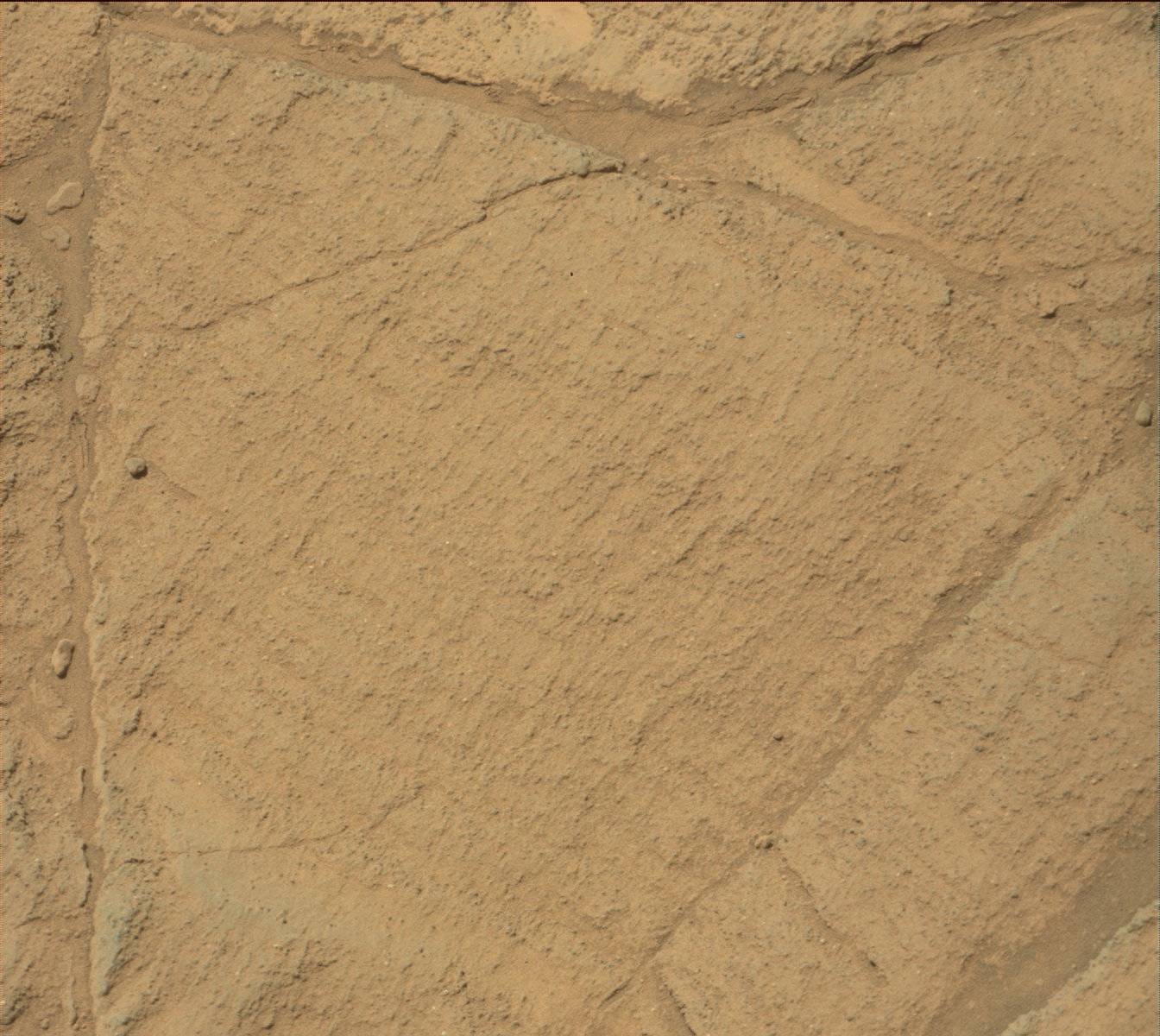 Nasa's Mars rover Curiosity acquired this image using its Mast Camera (Mastcam) on Sol 1334
