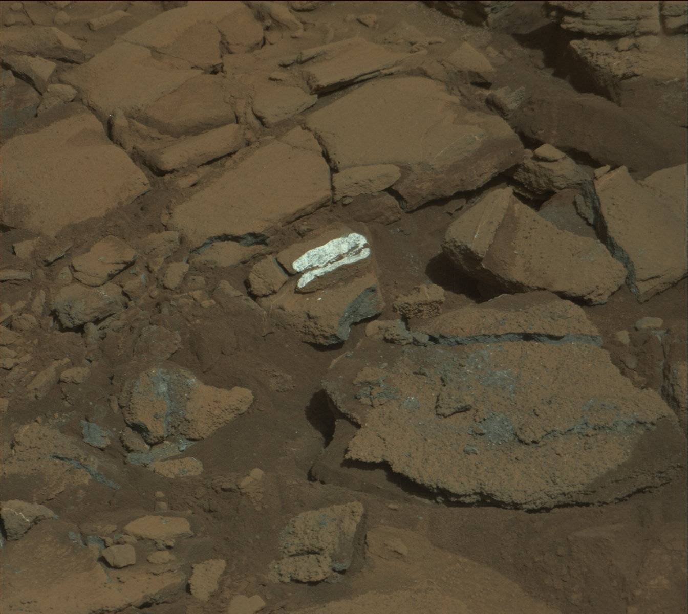 Nasa's Mars rover Curiosity acquired this image using its Mast Camera (Mastcam) on Sol 1336