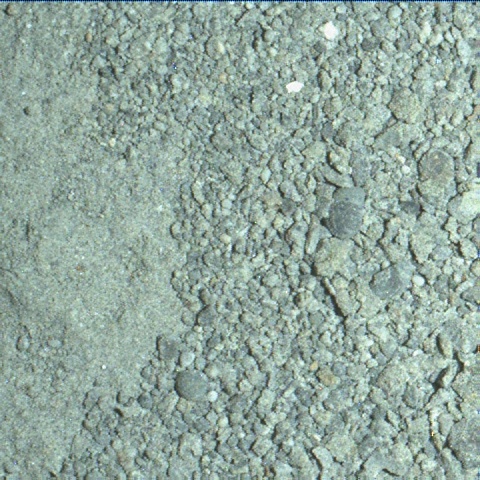 Nasa's Mars rover Curiosity acquired this image using its Mars Hand Lens Imager (MAHLI) on Sol 1337