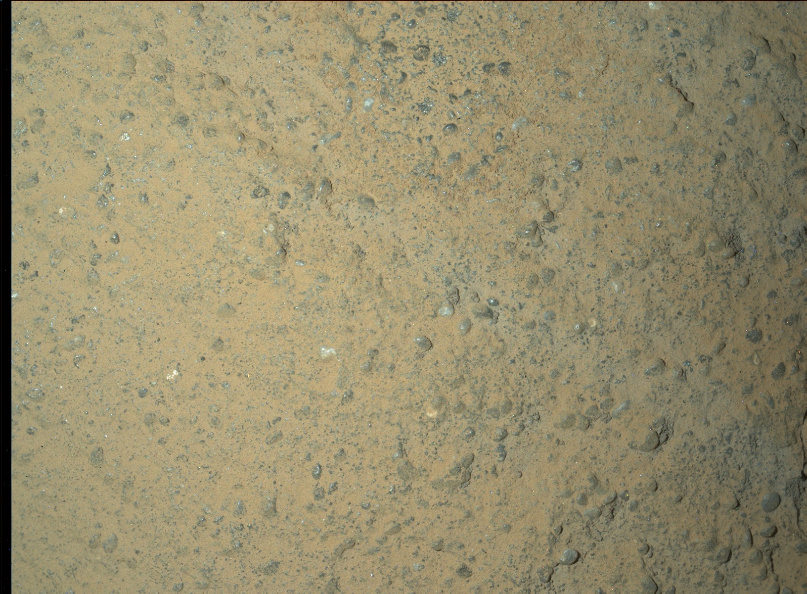 Nasa's Mars rover Curiosity acquired this image using its Mars Hand Lens Imager (MAHLI) on Sol 1337