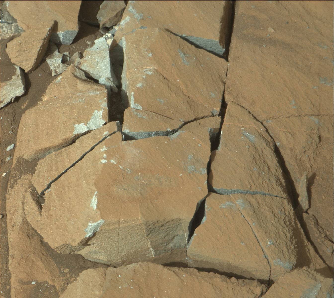 Nasa's Mars rover Curiosity acquired this image using its Mast Camera (Mastcam) on Sol 1340