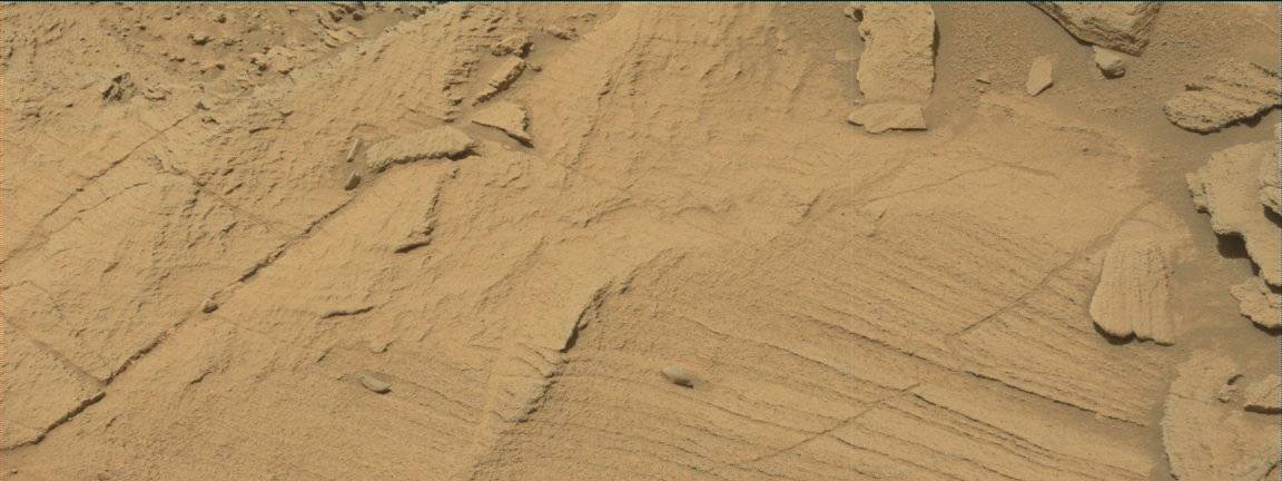 Nasa's Mars rover Curiosity acquired this image using its Mast Camera (Mastcam) on Sol 1341