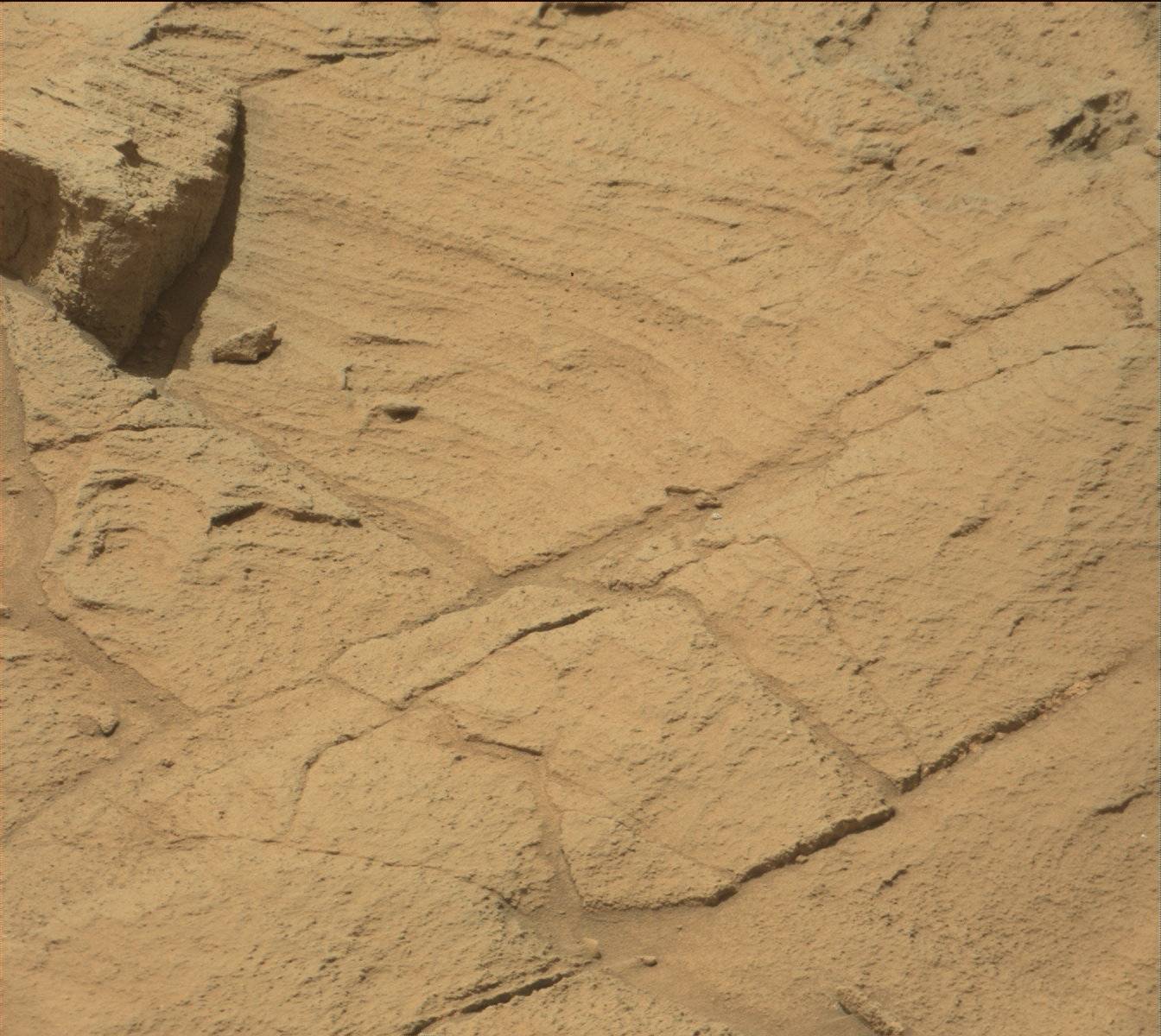 Nasa's Mars rover Curiosity acquired this image using its Mast Camera (Mastcam) on Sol 1341