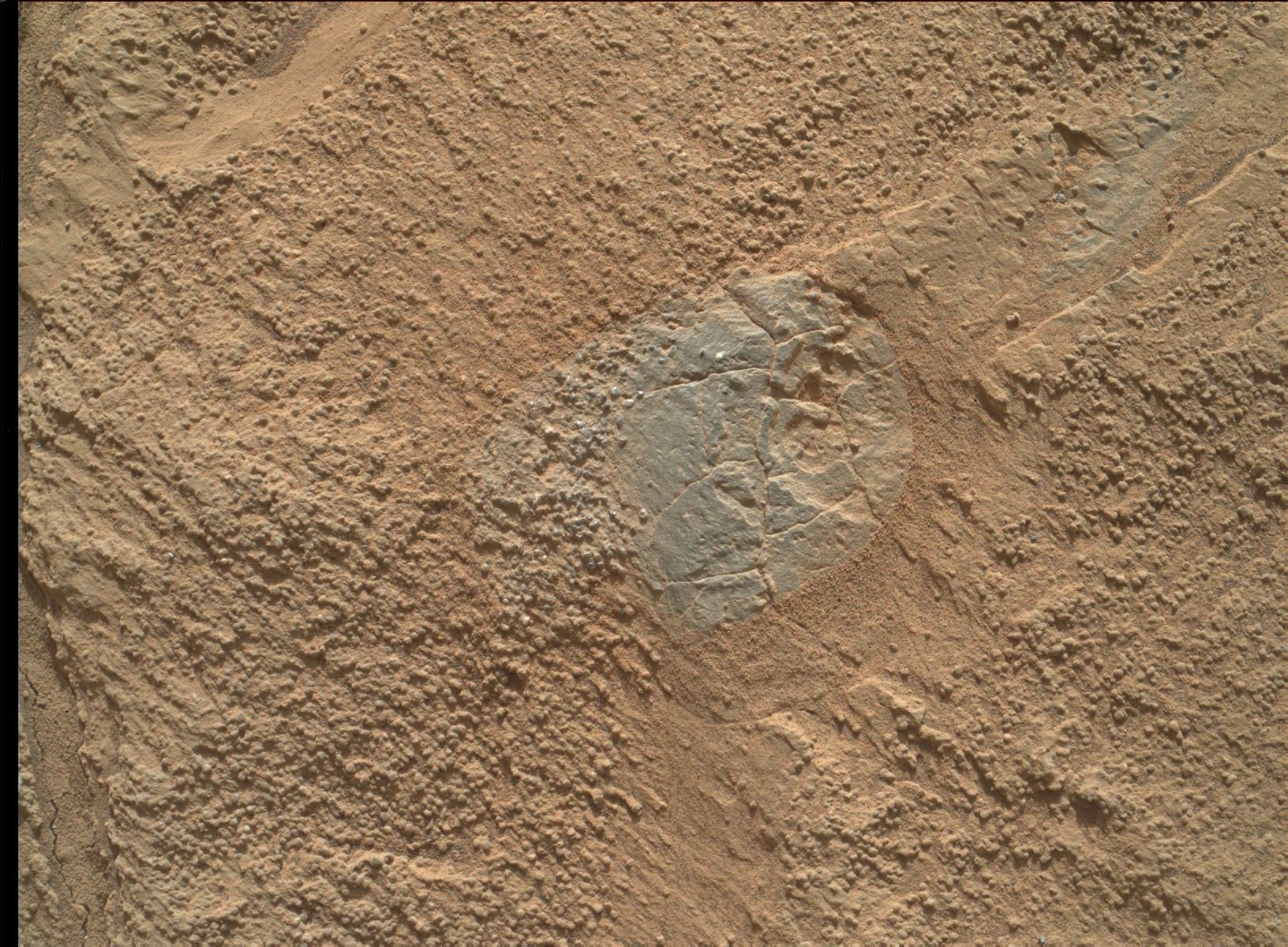 Nasa's Mars rover Curiosity acquired this image using its Mars Hand Lens Imager (MAHLI) on Sol 1341