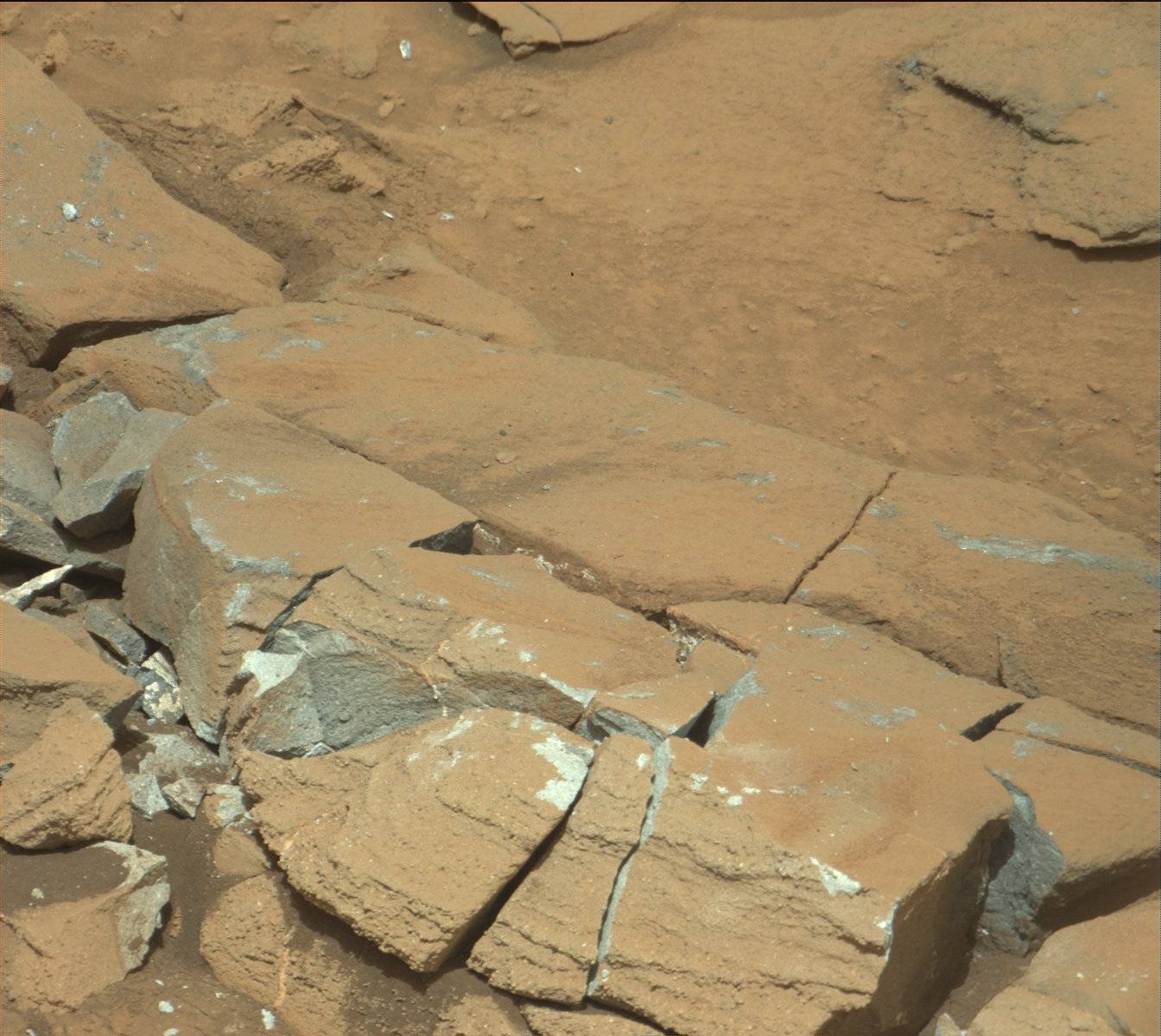 Nasa's Mars rover Curiosity acquired this image using its Mast Camera (Mastcam) on Sol 1342