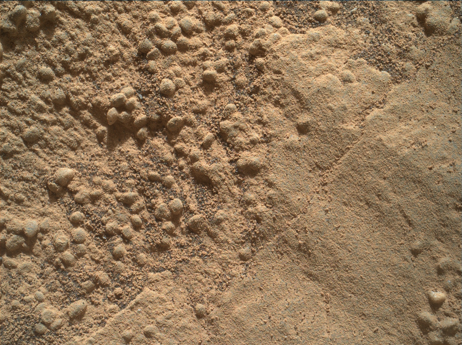 Nasa's Mars rover Curiosity acquired this image using its Mars Hand Lens Imager (MAHLI) on Sol 1343