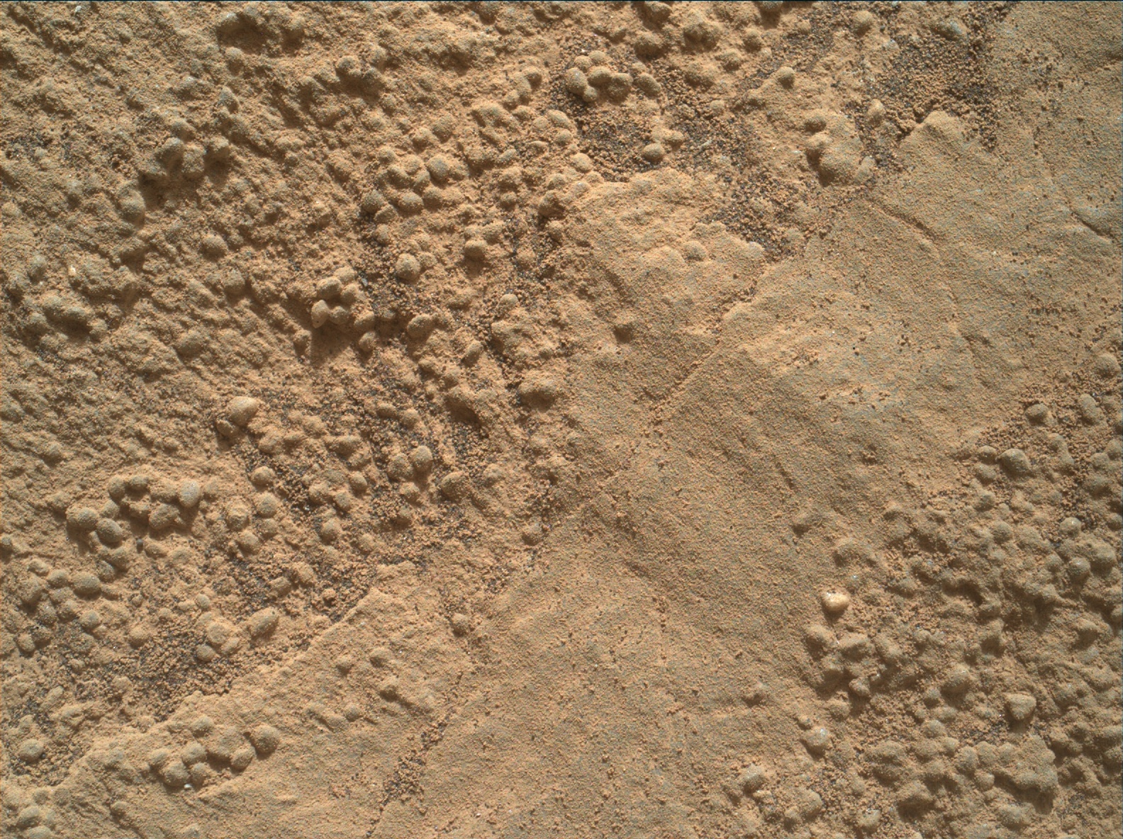 Nasa's Mars rover Curiosity acquired this image using its Mars Hand Lens Imager (MAHLI) on Sol 1343