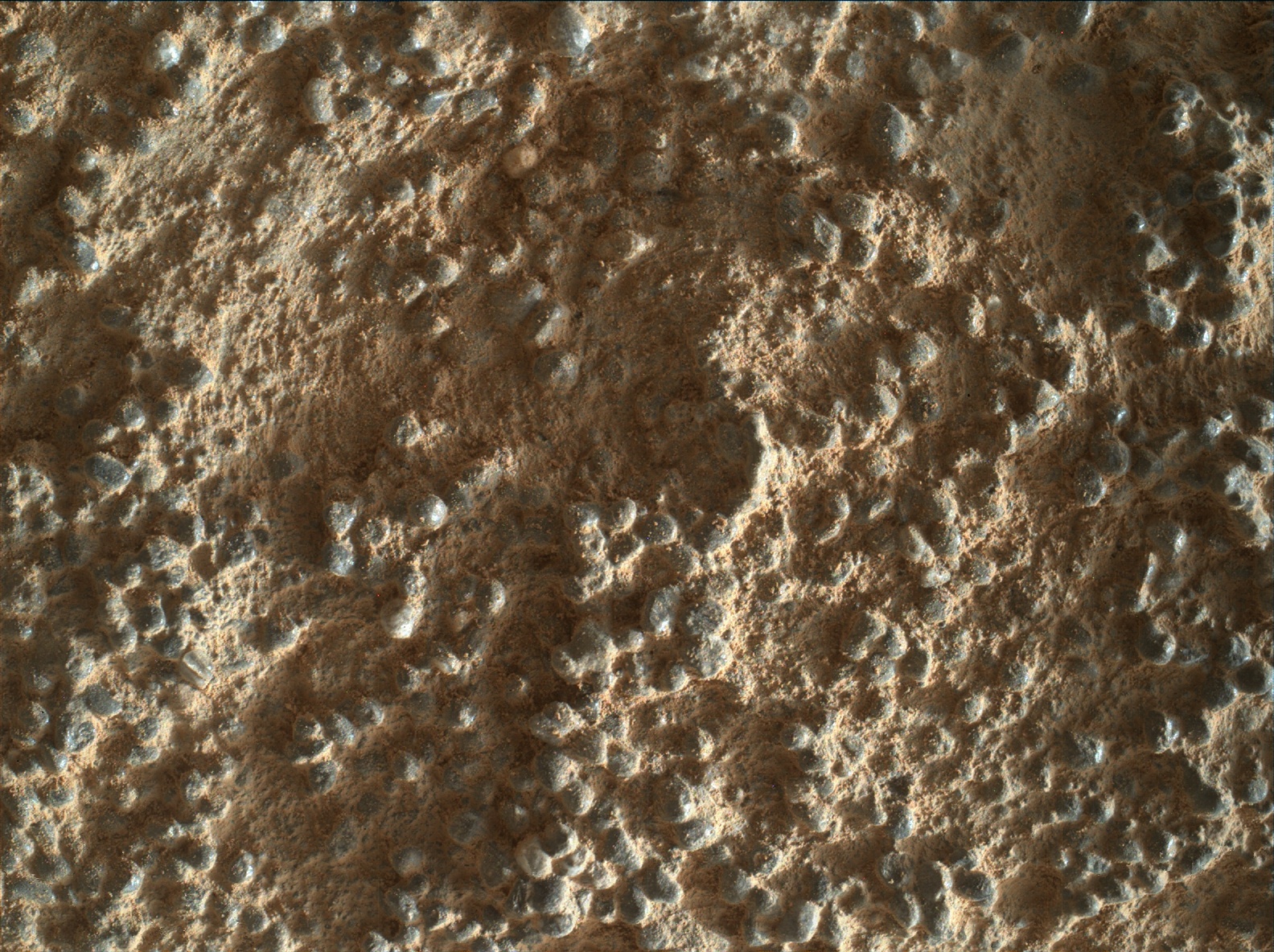 Nasa's Mars rover Curiosity acquired this image using its Mars Hand Lens Imager (MAHLI) on Sol 1348