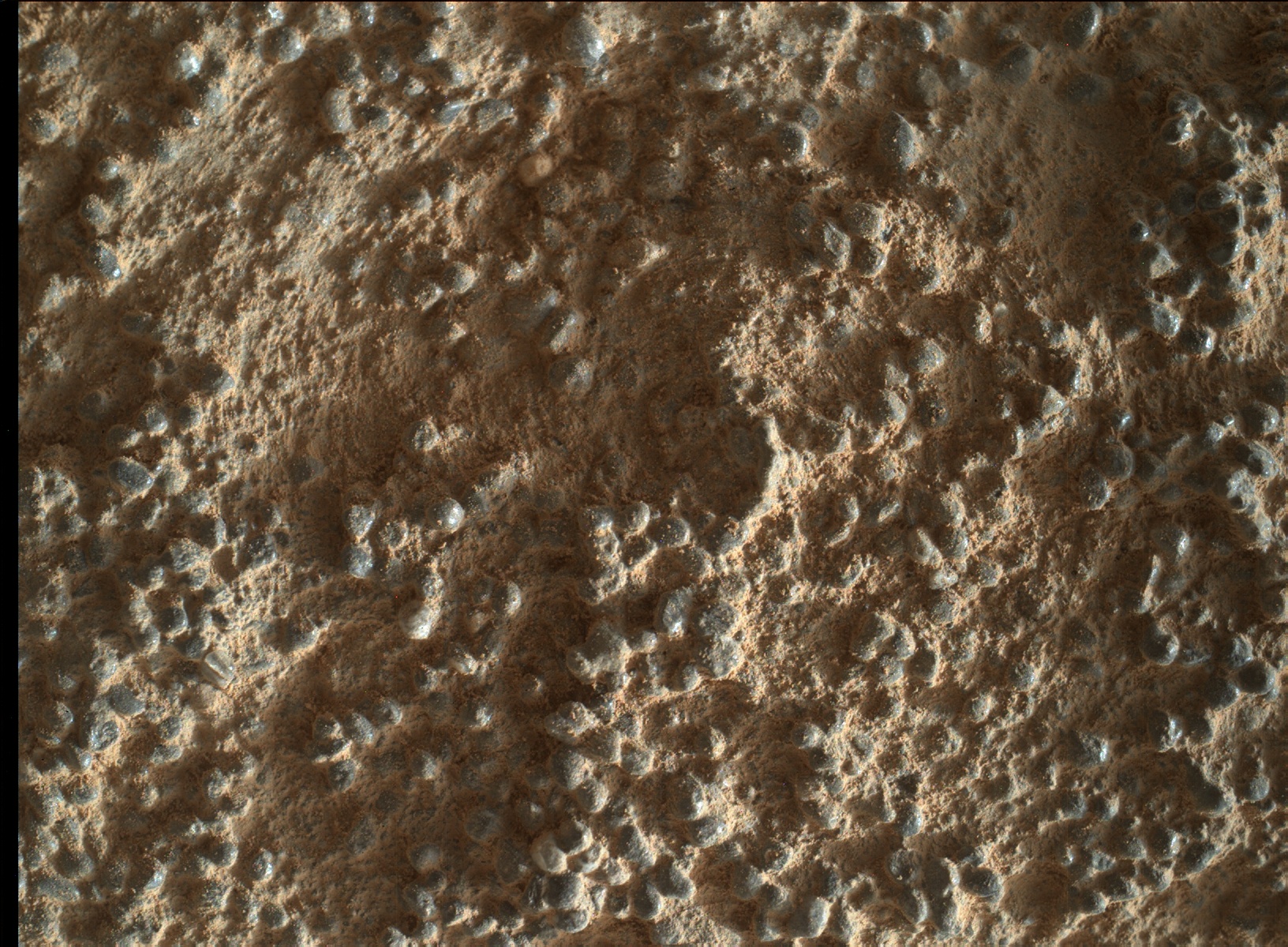 Nasa's Mars rover Curiosity acquired this image using its Mars Hand Lens Imager (MAHLI) on Sol 1348
