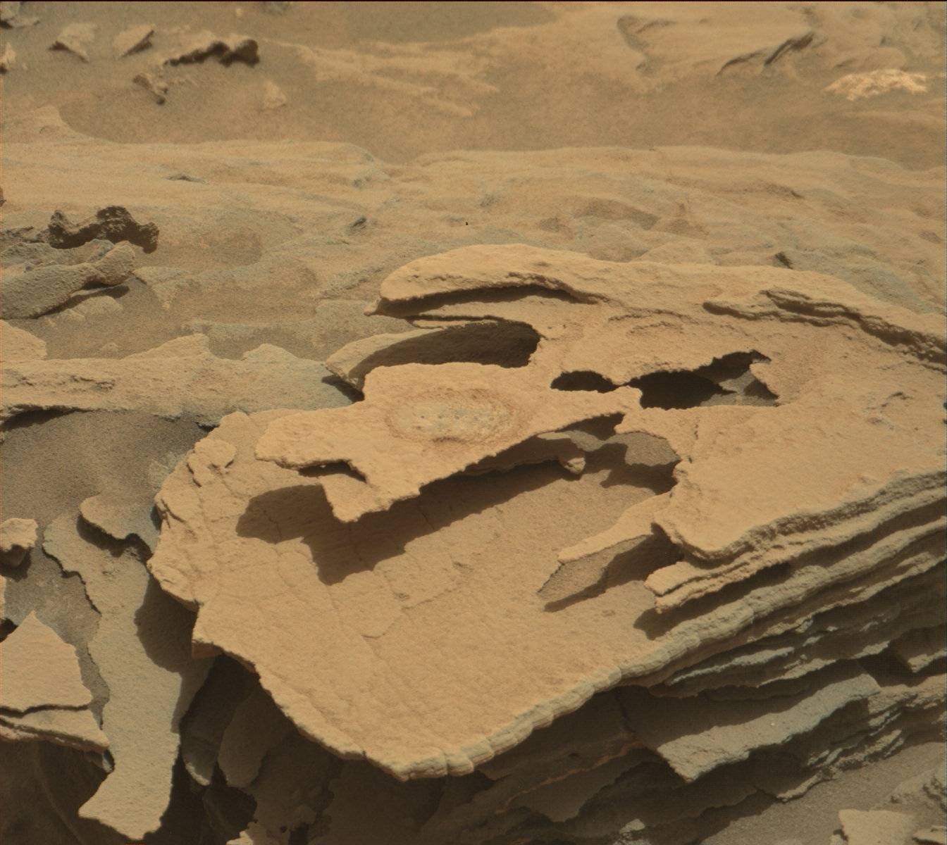 Nasa's Mars rover Curiosity acquired this image using its Mast Camera (Mastcam) on Sol 1350