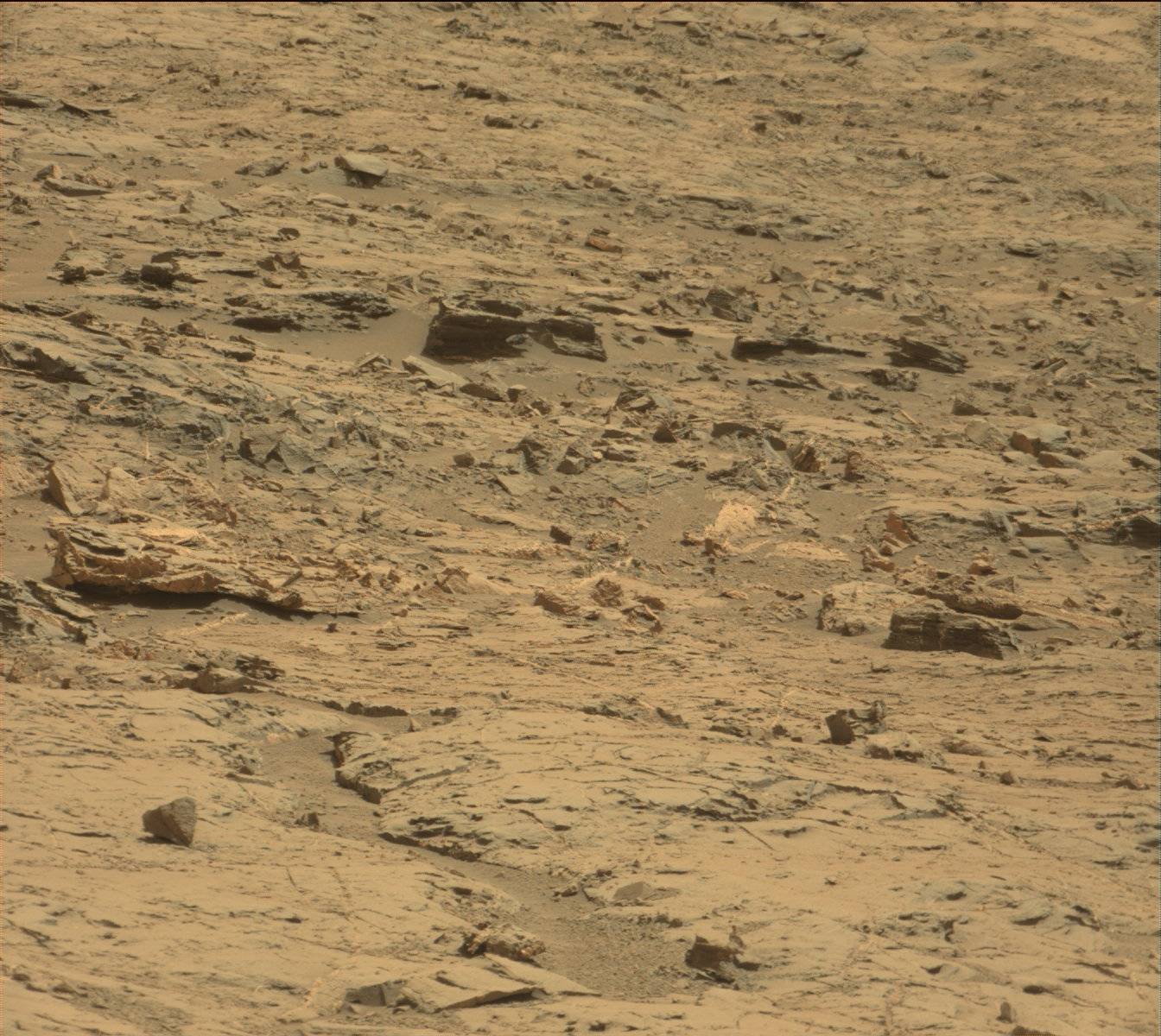 Nasa's Mars rover Curiosity acquired this image using its Mast Camera (Mastcam) on Sol 1355