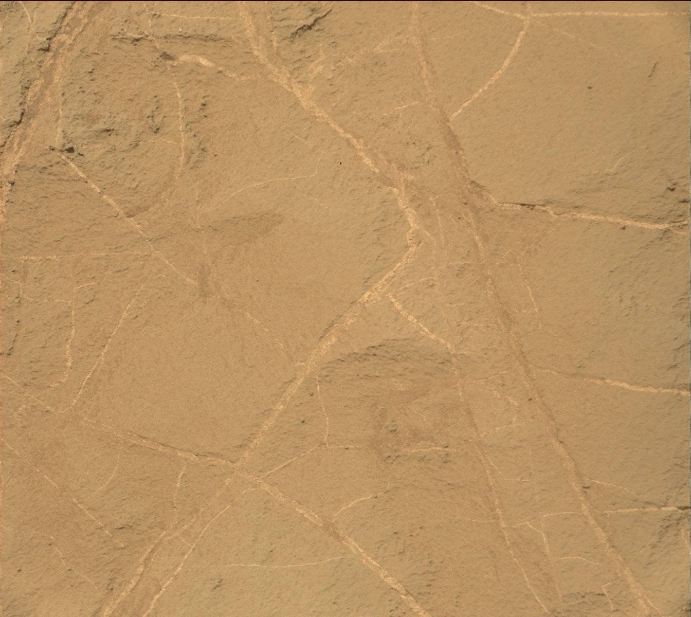 Nasa's Mars rover Curiosity acquired this image using its Mast Camera (Mastcam) on Sol 1357