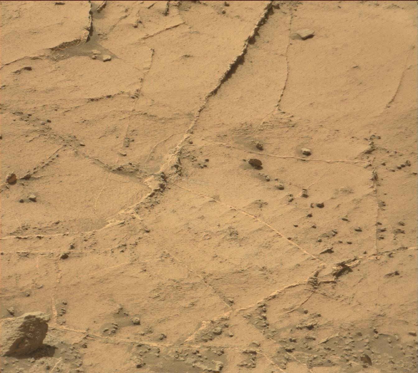Nasa's Mars rover Curiosity acquired this image using its Mast Camera (Mastcam) on Sol 1360