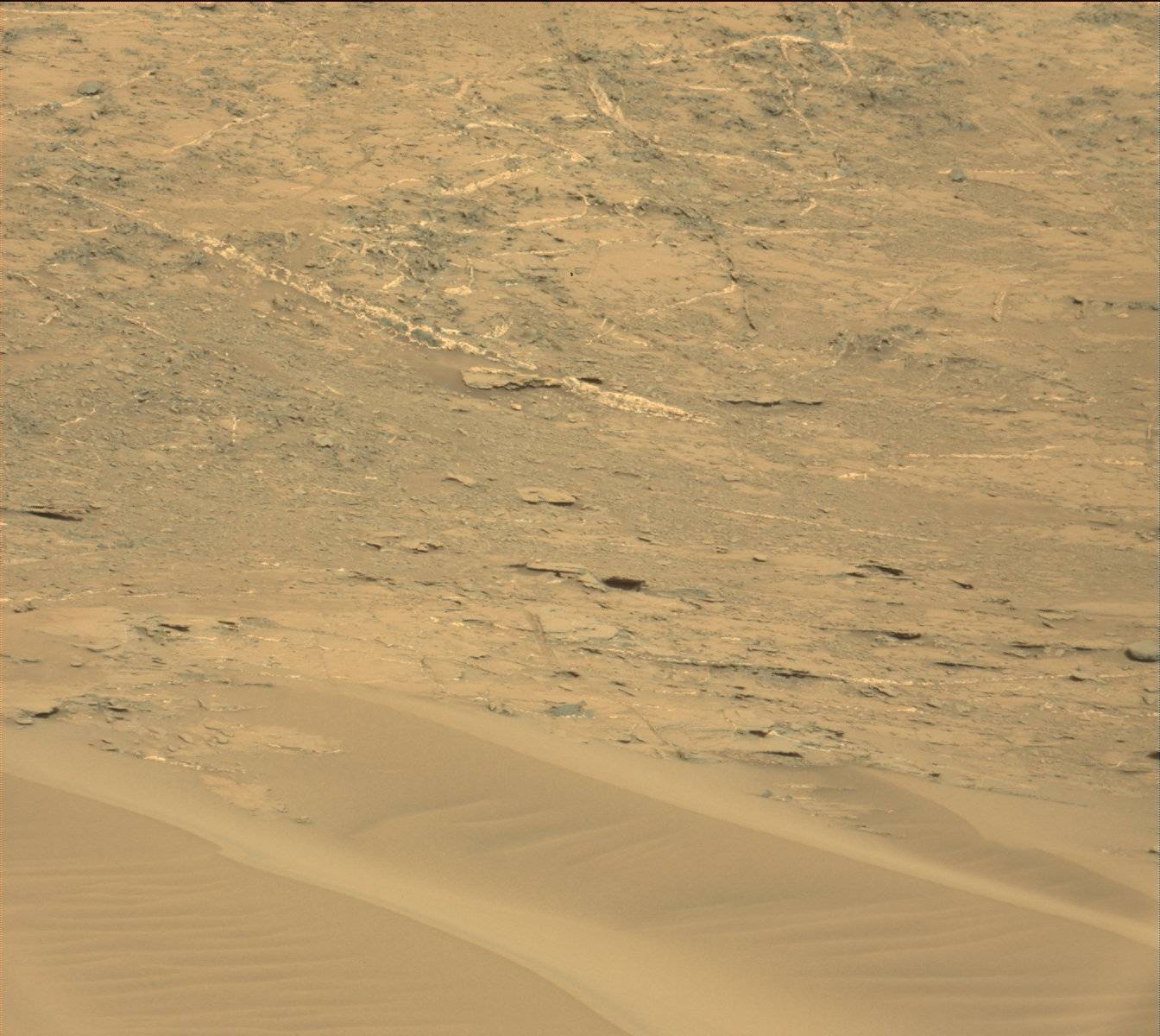 Nasa's Mars rover Curiosity acquired this image using its Mast Camera (Mastcam) on Sol 1365
