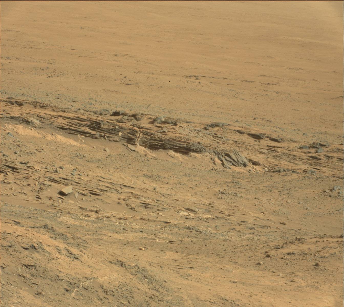 Nasa's Mars rover Curiosity acquired this image using its Mast Camera (Mastcam) on Sol 1365