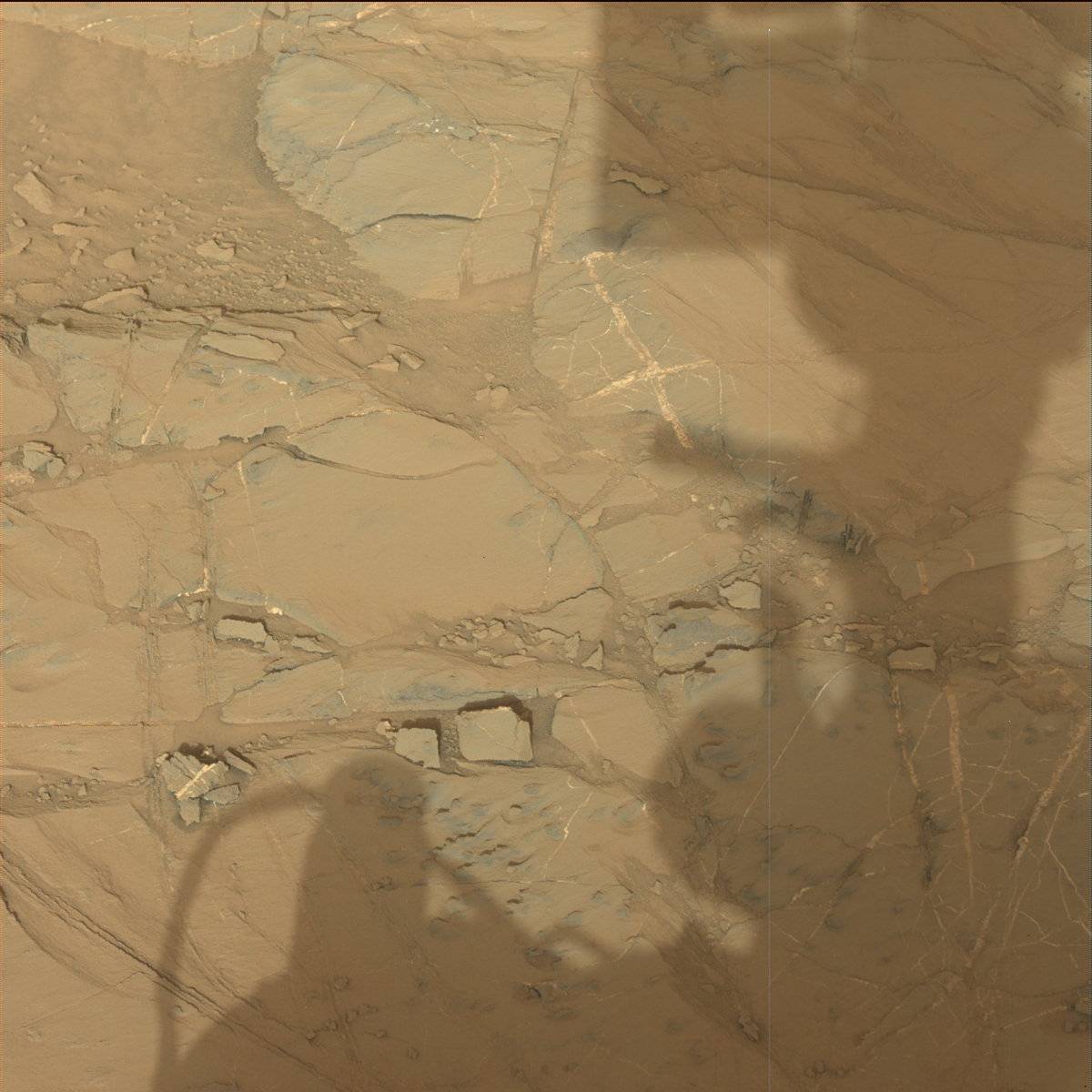 Nasa's Mars rover Curiosity acquired this image using its Mast Camera (Mastcam) on Sol 1367