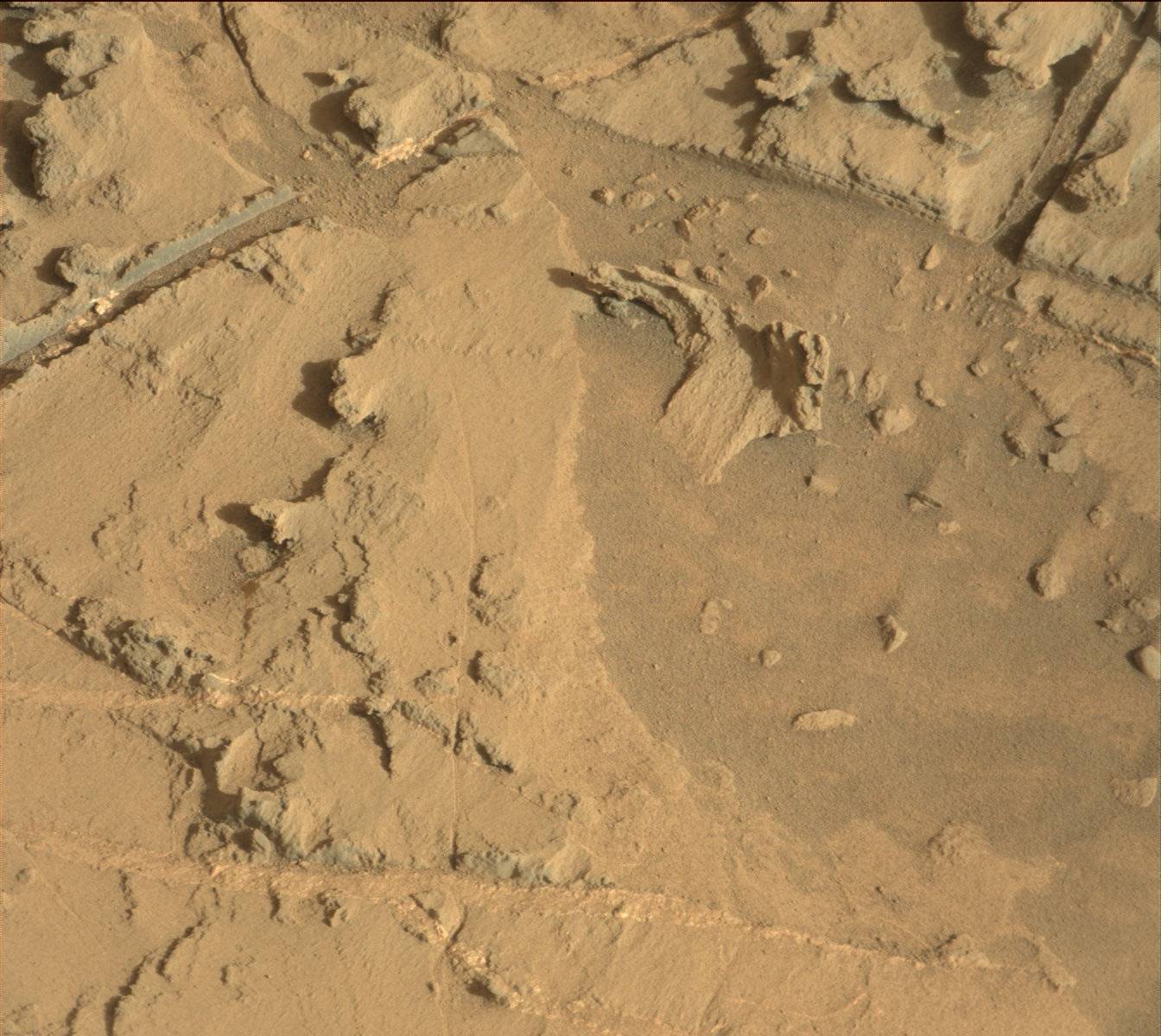 Nasa's Mars rover Curiosity acquired this image using its Mast Camera (Mastcam) on Sol 1369