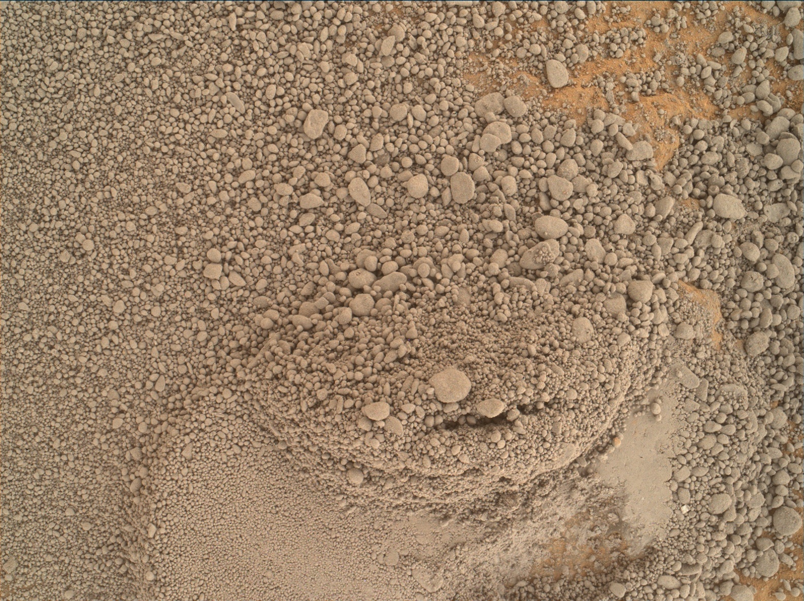 Nasa's Mars rover Curiosity acquired this image using its Mars Hand Lens Imager (MAHLI) on Sol 1369