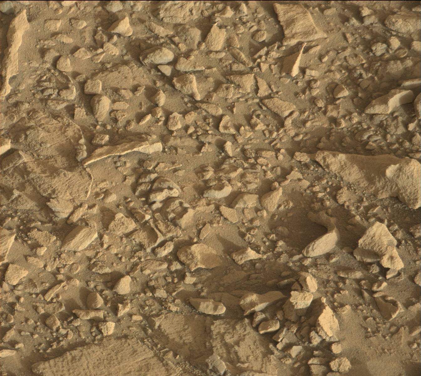 Nasa's Mars rover Curiosity acquired this image using its Mast Camera (Mastcam) on Sol 1373