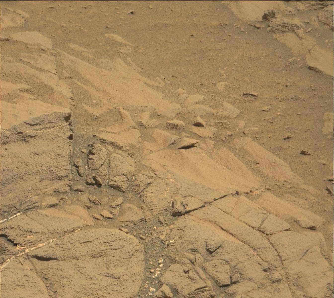 Nasa's Mars rover Curiosity acquired this image using its Mast Camera (Mastcam) on Sol 1378