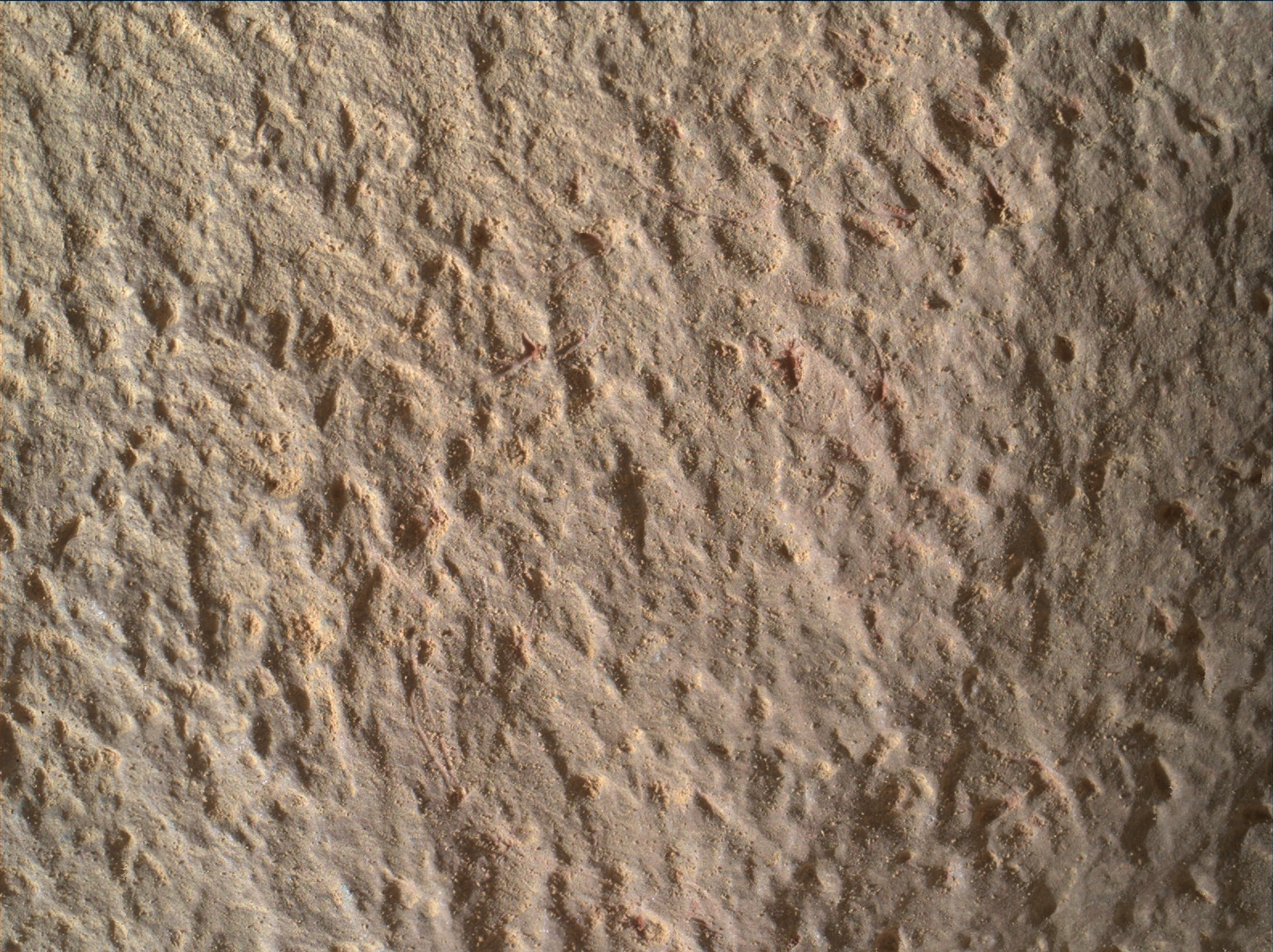 Nasa's Mars rover Curiosity acquired this image using its Mars Hand Lens Imager (MAHLI) on Sol 1380