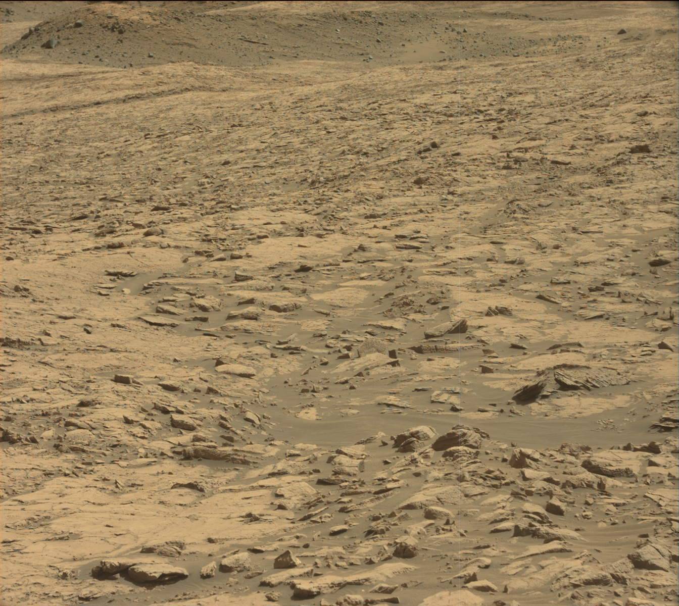 Nasa's Mars rover Curiosity acquired this image using its Mast Camera (Mastcam) on Sol 1383