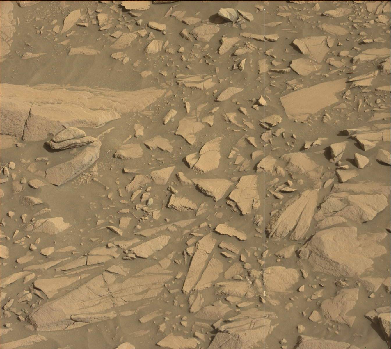 Nasa's Mars rover Curiosity acquired this image using its Mast Camera (Mastcam) on Sol 1385